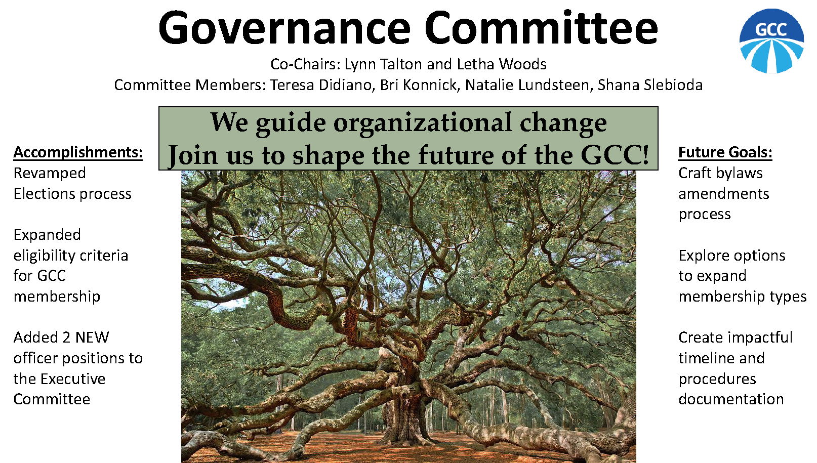 Governance Committee Poster